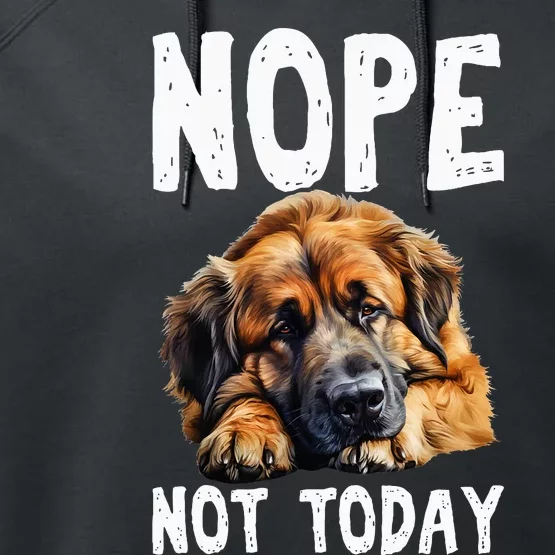 Nope Not Today Lazy Dog Funny Leonberger Performance Fleece Hoodie