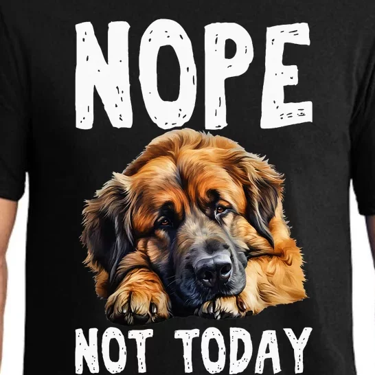 Nope Not Today Lazy Dog Funny Leonberger Pajama Set