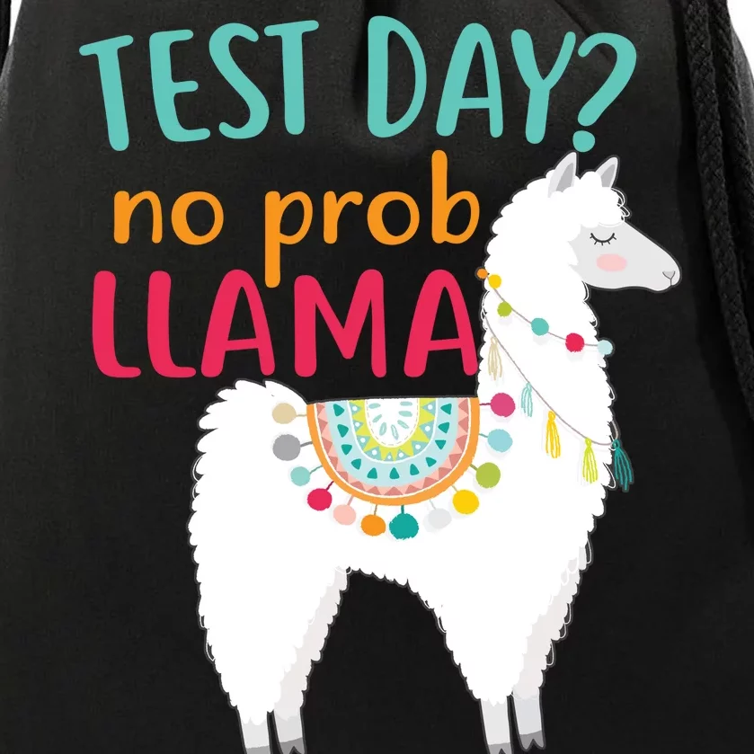 No Probllama Rock The Test Funny Drawstring Bag