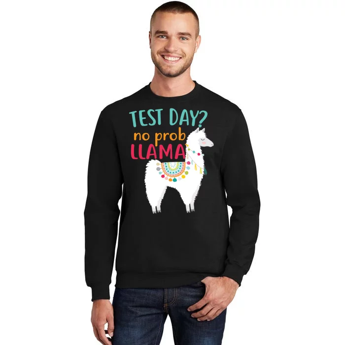 No Probllama Rock The Test Funny Tall Sweatshirt