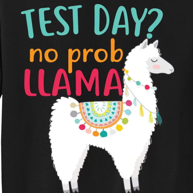 No Probllama Rock The Test Funny Tall Sweatshirt