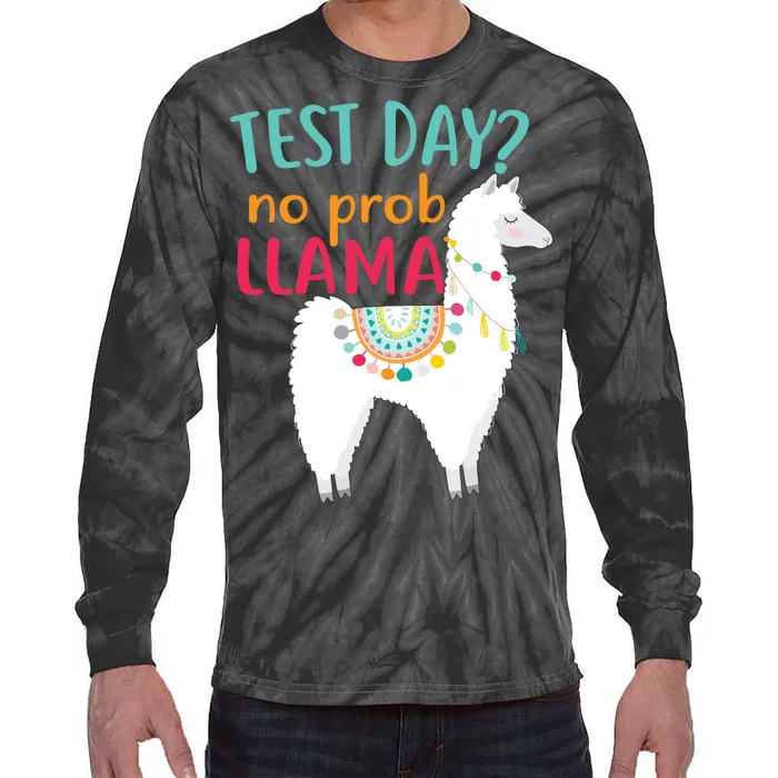 No Probllama Rock The Test Funny Tie-Dye Long Sleeve Shirt