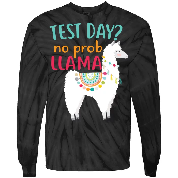 No Probllama Rock The Test Funny Tie-Dye Long Sleeve Shirt