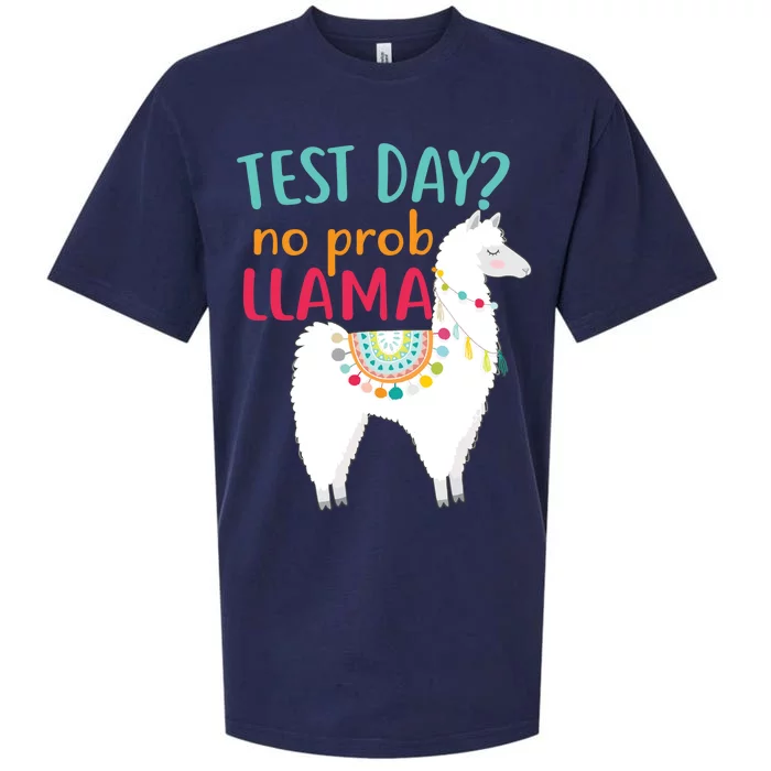 No Probllama Rock The Test Funny Sueded Cloud Jersey T-Shirt