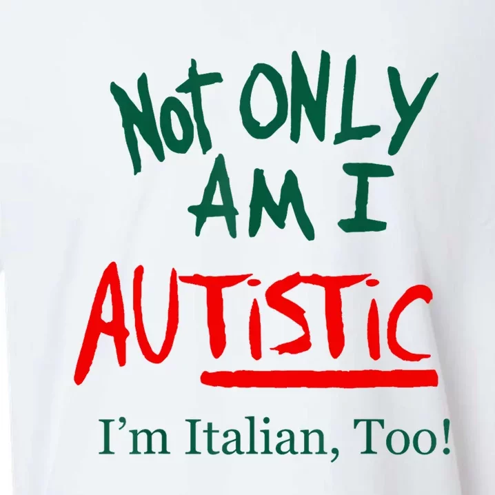 Not Only Am I Autistic IM Italian Too Funny Christmas Idea Sueded Cloud Jersey T-Shirt