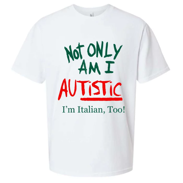 Not Only Am I Autistic IM Italian Too Funny Christmas Idea Sueded Cloud Jersey T-Shirt