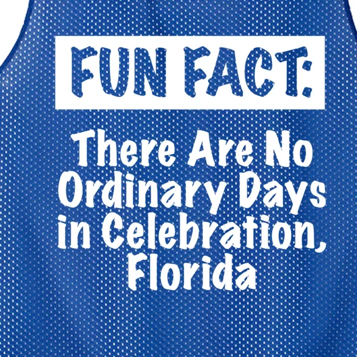 No Ordinary Days In Celebration Florida Pun Fl Joke Gift Mesh Reversible Basketball Jersey Tank