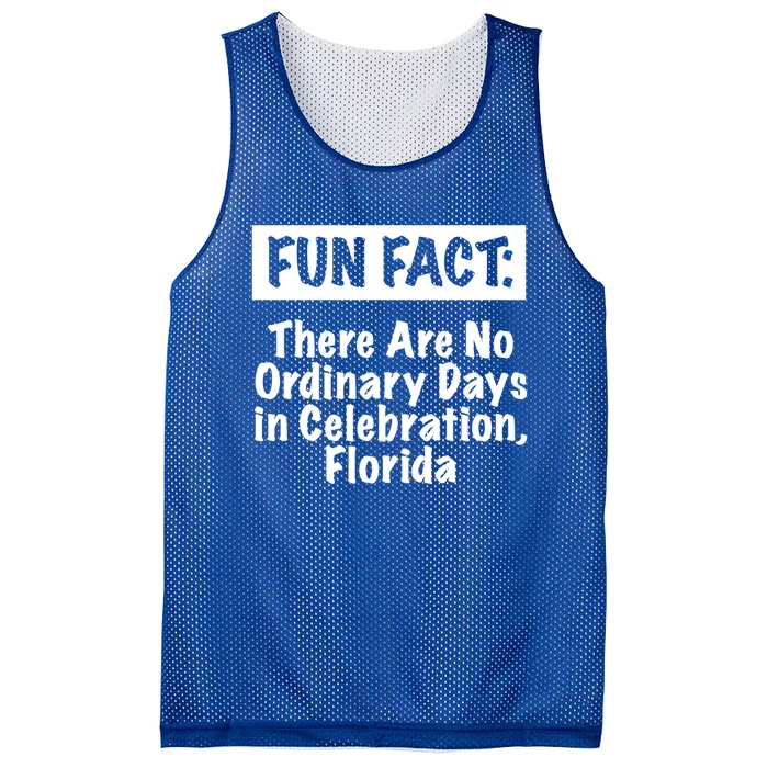 No Ordinary Days In Celebration Florida Pun Fl Joke Gift Mesh Reversible Basketball Jersey Tank