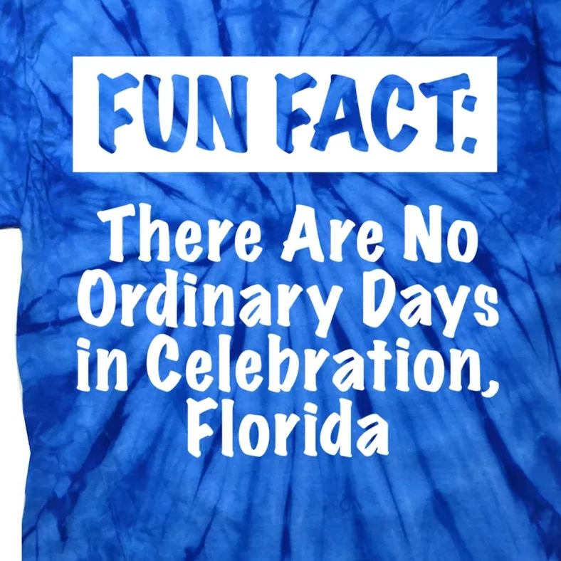 No Ordinary Days In Celebration Florida Pun Fl Joke Gift Tie-Dye T-Shirt