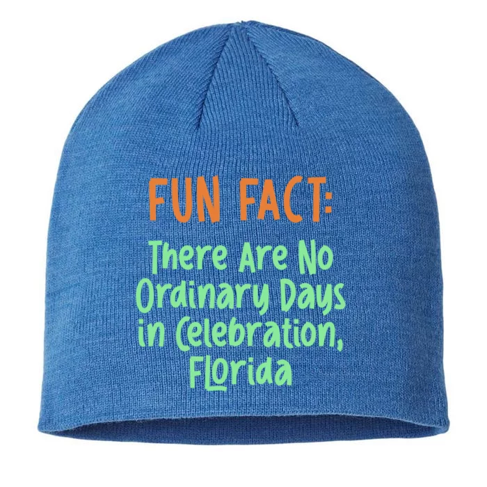 No Ordinary Days In Celebration Florida Pun Fl Joke Meaningful Gift 8 1/2in Sustainable Knit Beanie