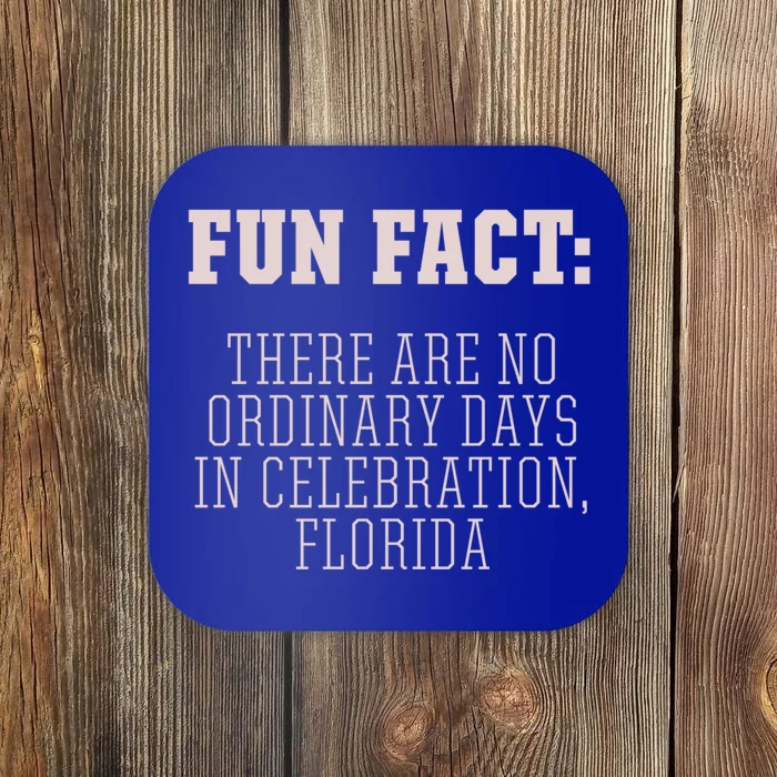 No Ordinary Days In Celebration Florida Pun Fl Joke Gift Coaster