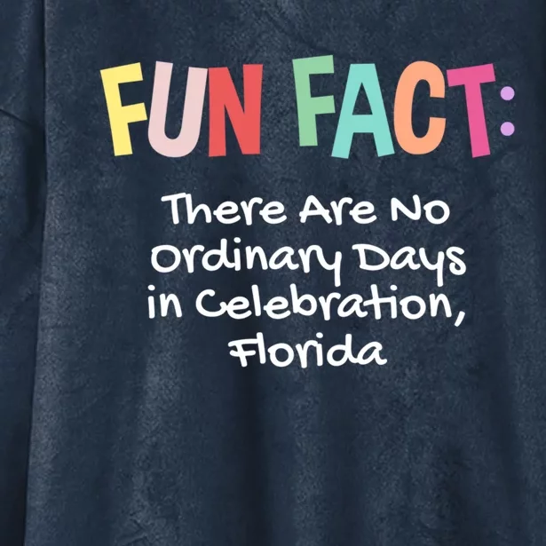 No Ordinary Days In Celebration Florida Pun Fl Joke Gift Hooded Wearable Blanket