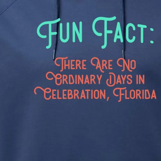 No Ordinary Days In Celebration Florida Pun Fl Joke Gift Performance Fleece Hoodie