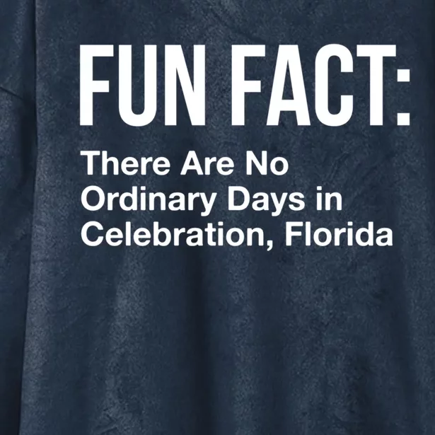 No Ordinary Days In Celebration Florida Pun Fl Joke Cute Gift Hooded Wearable Blanket