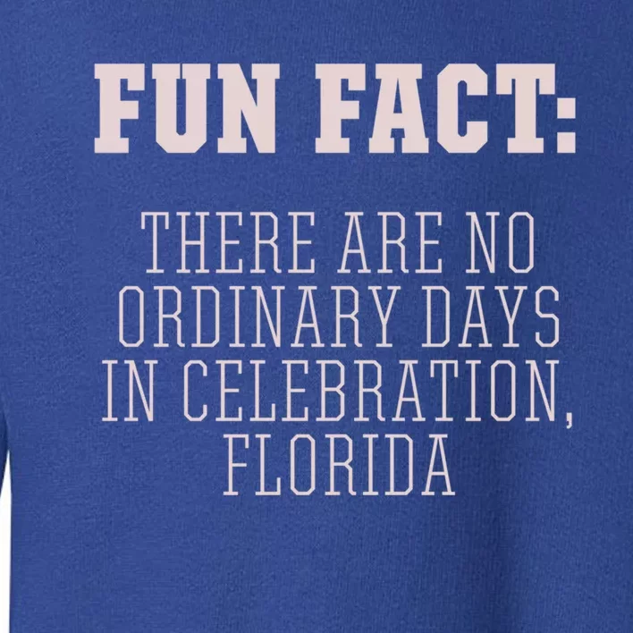 No Ordinary Days In Celebration Florida Pun Fl Joke Cute Gift Toddler Sweatshirt