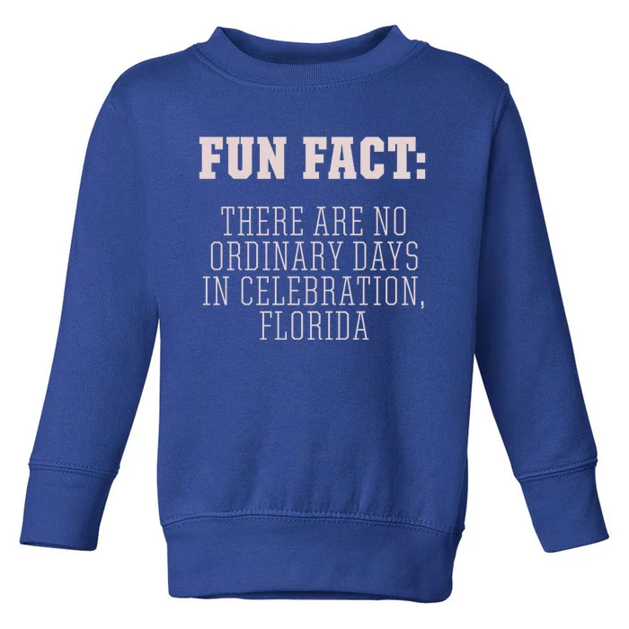 No Ordinary Days In Celebration Florida Pun Fl Joke Cute Gift Toddler Sweatshirt