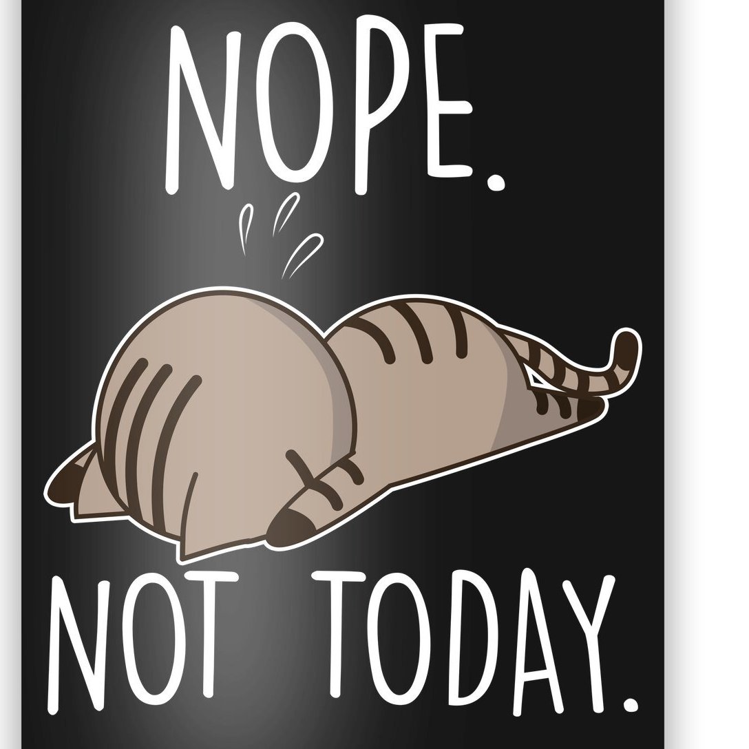 Nope Not Today Funny Lazy Cat Poster | TeeShirtPalace
