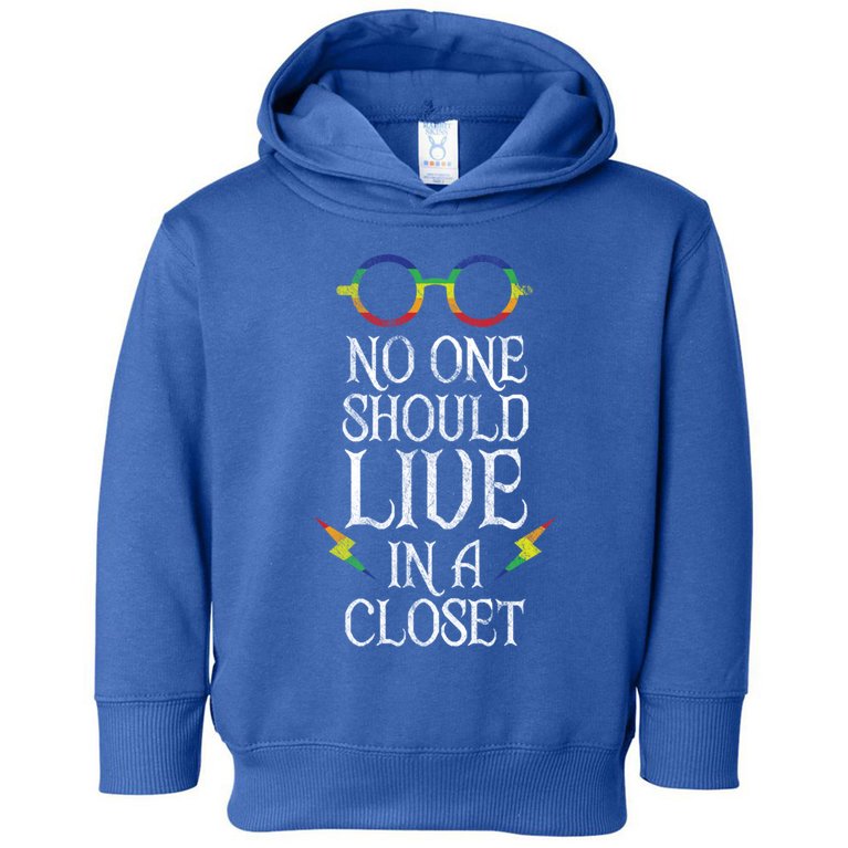 No One Should Live In A Closet Lgbtq Pride Gift Toddler Hoodie