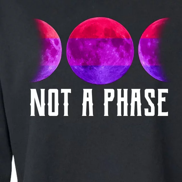 Not A Phase Bi Pride Bisexual Cropped Pullover Crew