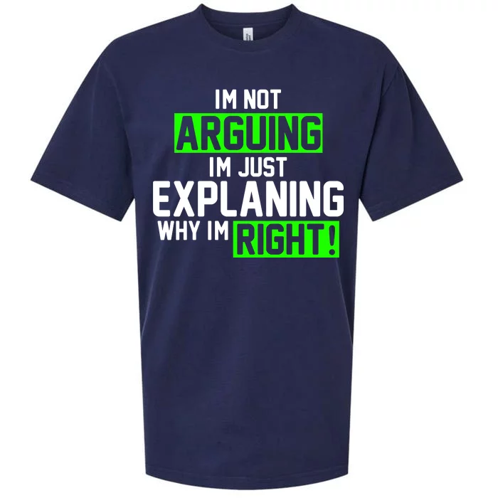 Not Arguing Explaining Why I'm Right Funny Meme Sueded Cloud Jersey T-Shirt