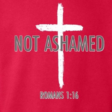 Not Ashamed Romans 1:16 Toddler Hoodie