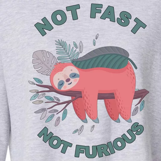 Not Fast Not Furious Sloth Cute Cropped Pullover Crew