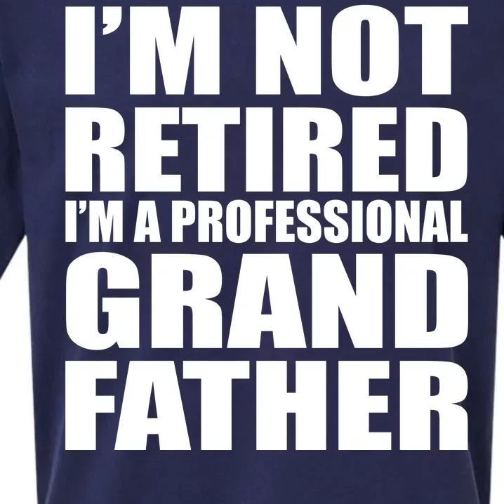 Not Retired I'm A Professional Grandfather Sueded Cloud Jersey T-Shirt