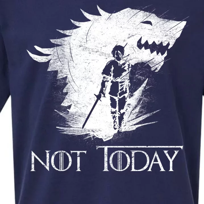 Not Today Arya Wolf Sueded Cloud Jersey T-Shirt