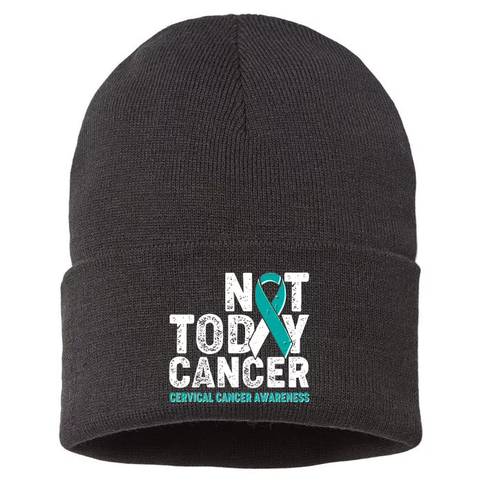 Not Today Cancer Cervical Cancer Awareness Sustainable Knit Beanie