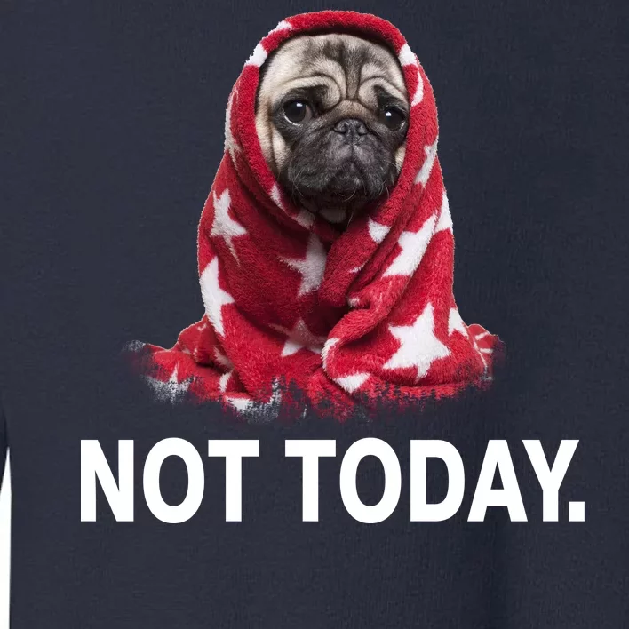 Not Today Funny Pug Toddler Sweatshirt