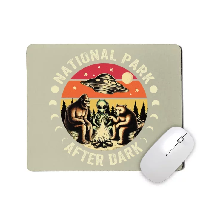 National Park After Dark Funny Mousepad