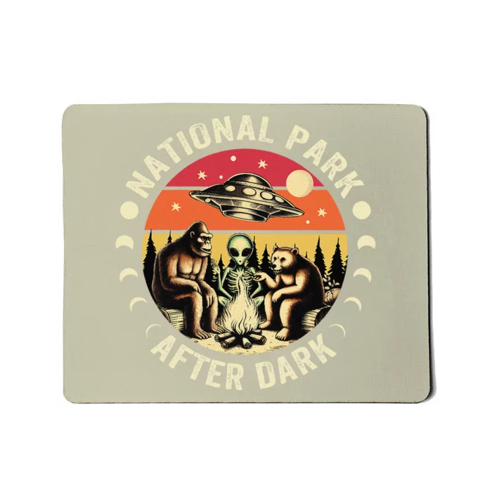 National Park After Dark Funny Mousepad