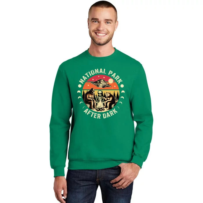 National Park After Dark Funny Sweatshirt