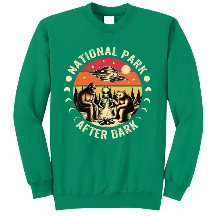 National Park After Dark Funny Sweatshirt