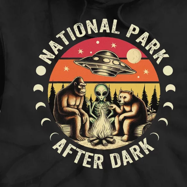 National Park After Dark Funny Tie Dye Hoodie