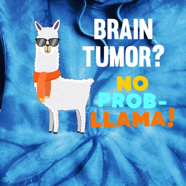 No Probgiftllama Brain Tumor Survivor Recovery Get Well Funny Gift Cool Gift Tie Dye Hoodie