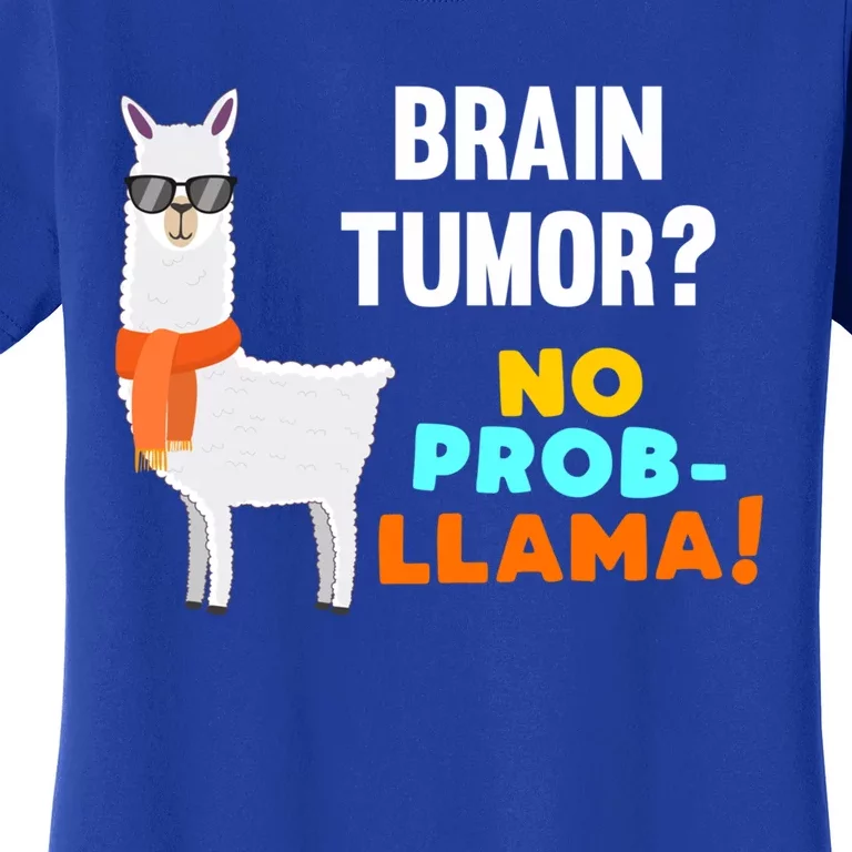 No Probgiftllama Brain Tumor Survivor Recovery Get Well Funny Gift Cool Gift Women's T-Shirt