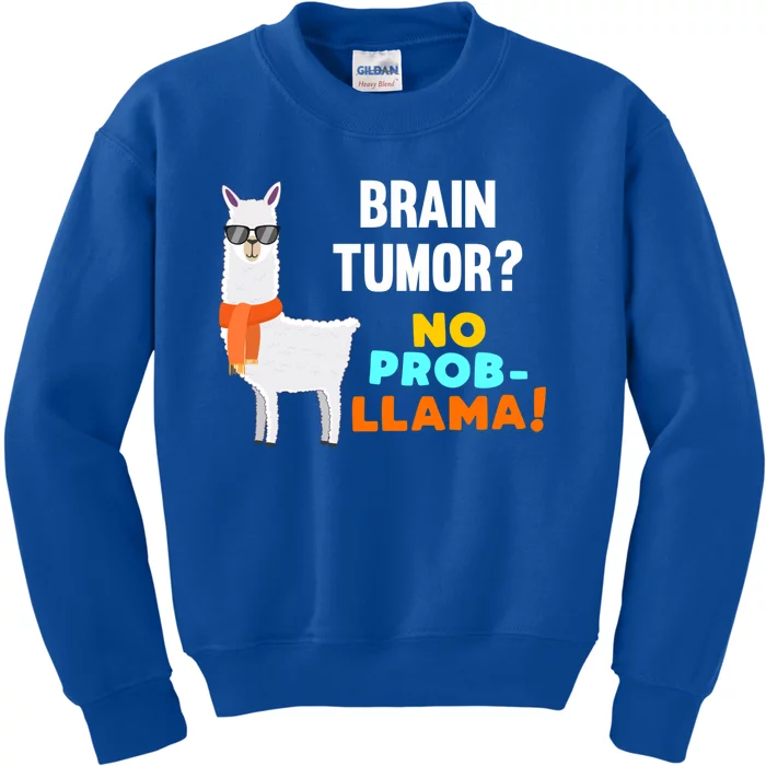 No Probgiftllama Brain Tumor Survivor Recovery Get Well Funny Gift Cool Gift Kids Sweatshirt