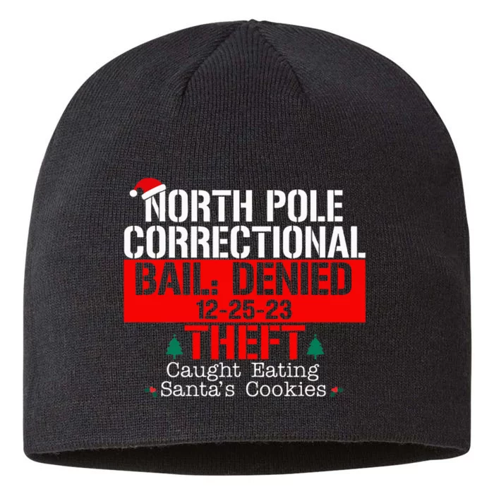 North Pole Correctional Bail Denied Theft Caught Eating 8 1/2in Sustainable Knit Beanie