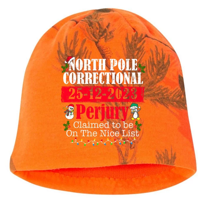 North Pole Correctional Perjury Family Matching Christmas Kati - Camo Knit Beanie