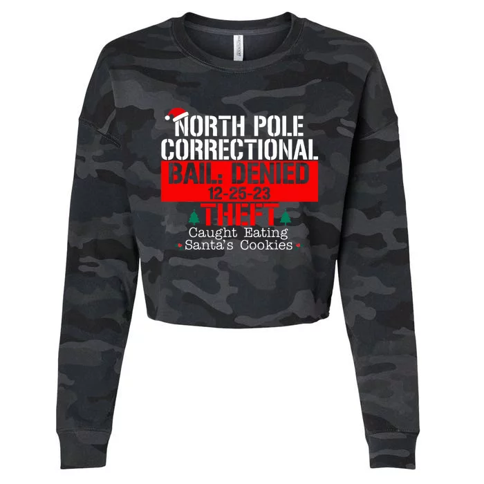 North Pole Correctional Bail Denied Theft Caught Eating Cropped Pullover Crew