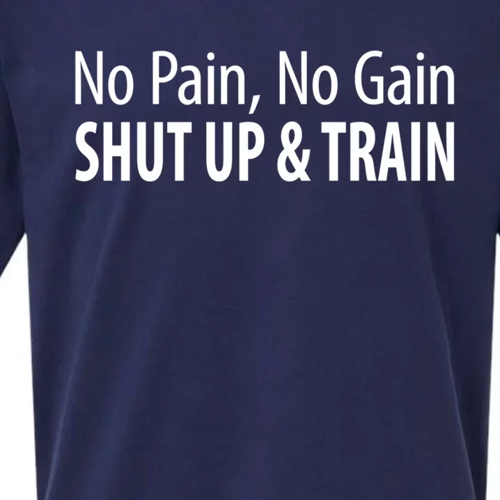 No Pain Gift No Gain Gift Shut Up And Train Gift Sueded Cloud Jersey T-Shirt