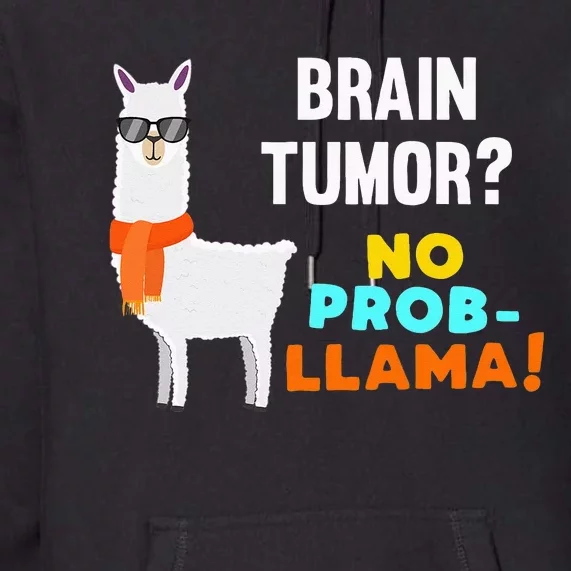 No Prob Llama Brain Tumor Survivor Recovery Get Well Gifts Premium Hoodie