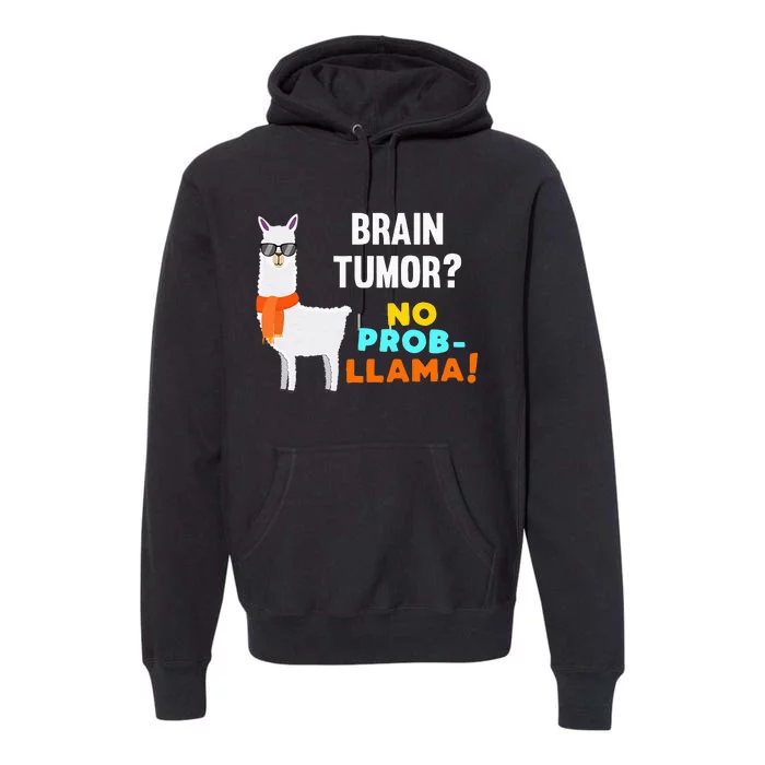 No Prob Llama Brain Tumor Survivor Recovery Get Well Gifts Premium Hoodie