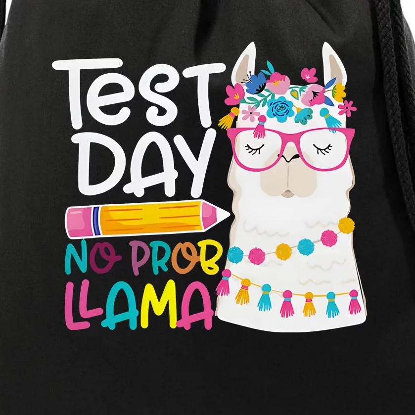 No Problem Llama Testing State Testing Drawstring Bag