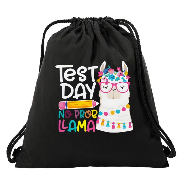 No Problem Llama Testing State Testing Drawstring Bag