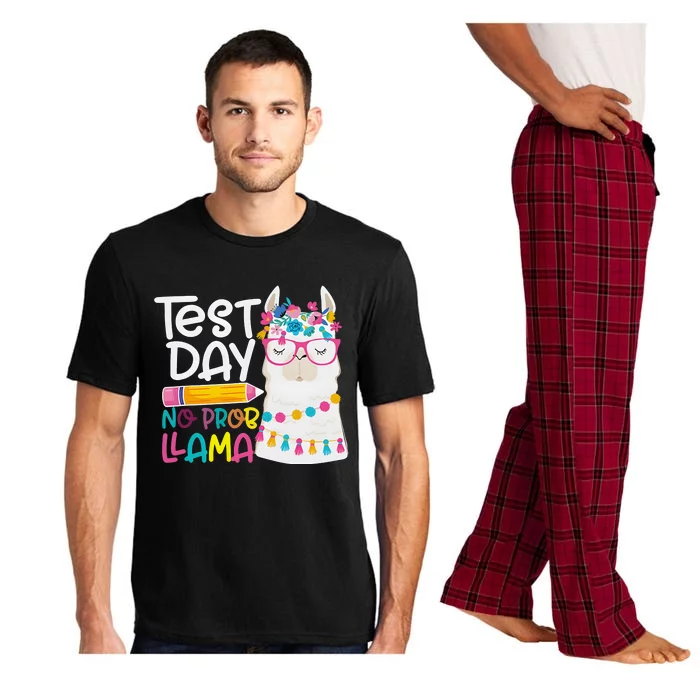 No Problem Llama Testing State Testing Pajama Set