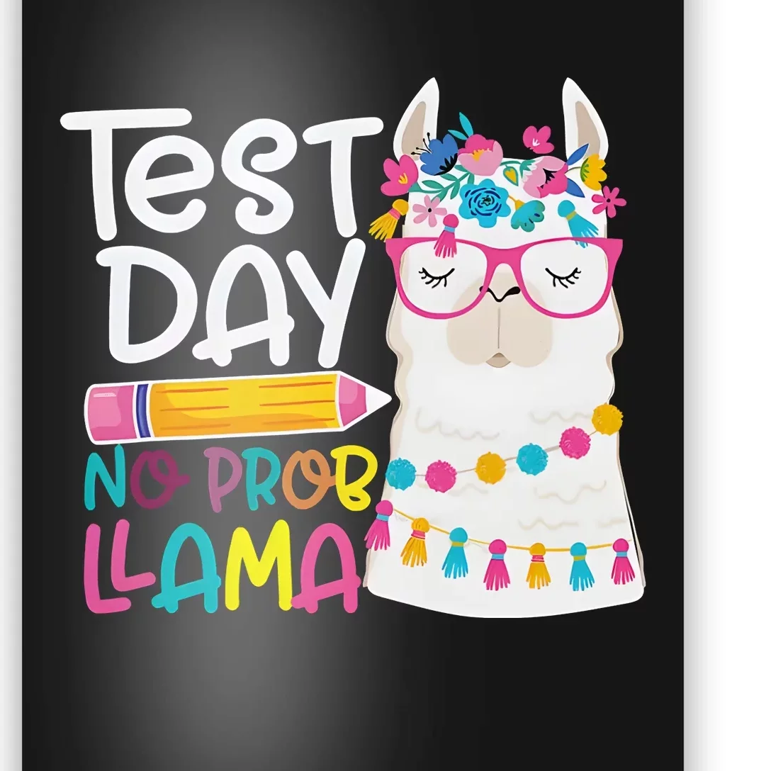 No Problem Llama Testing State Testing Poster