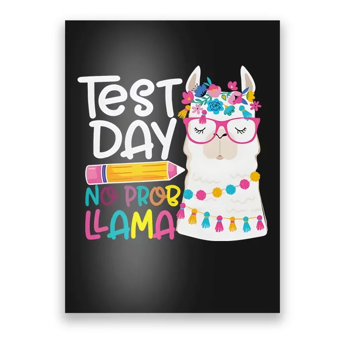 No Problem Llama Testing State Testing Poster