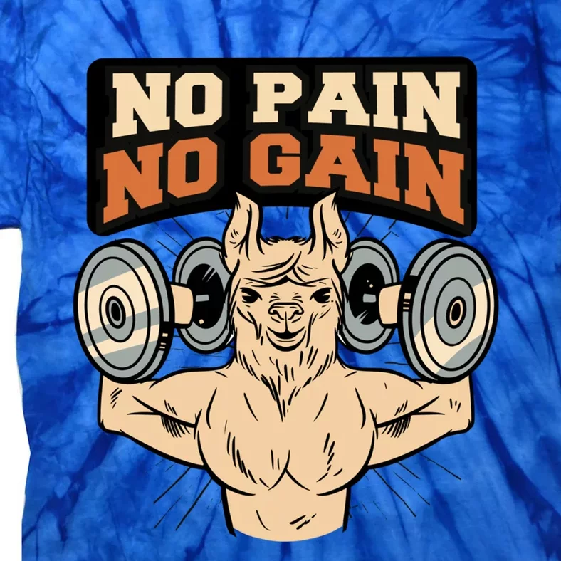 No Pain No Gain Gym Muscles Bodybuilding Meaningful Gift Tie-Dye T-Shirt